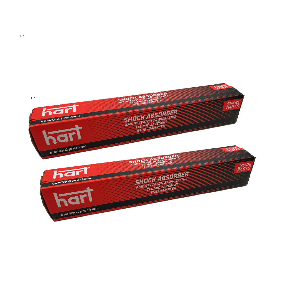 Kit 2 Ammortizzatori a Gas Posteriori per FIAT PANDA (169_) 1.1/1.2/1.3 D Multijet