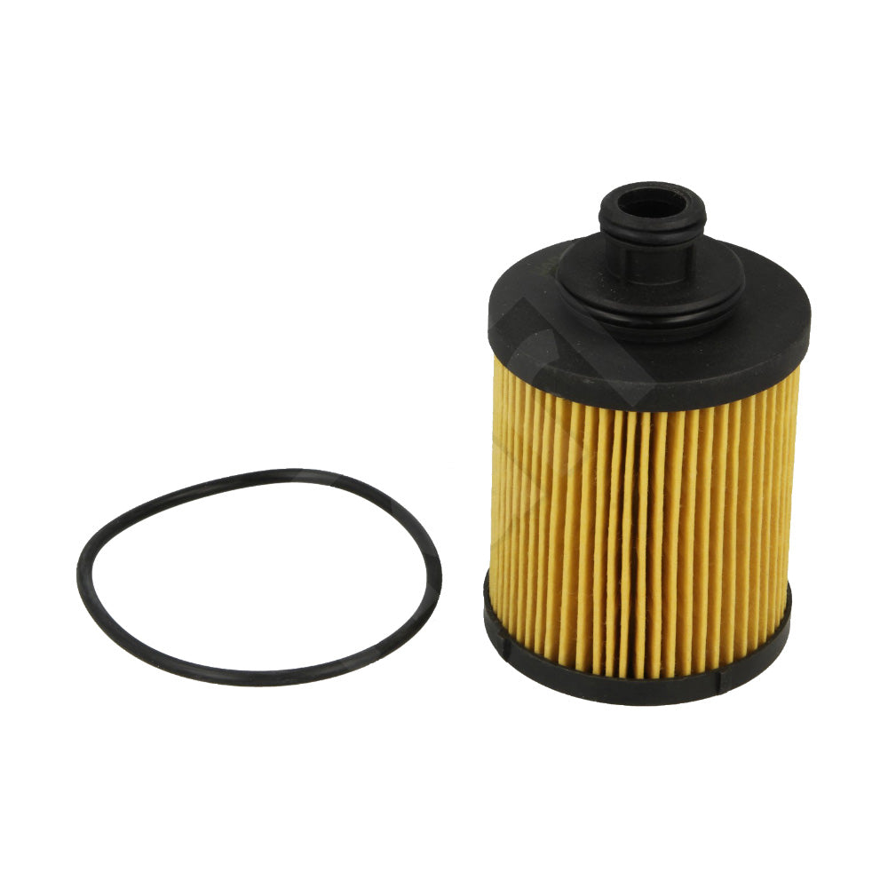 Filtro Olio Tagliando Auto per OPEL ASTRA H (A04) 1.3 - OPEL ASTRA H Estate (A04) 1.3