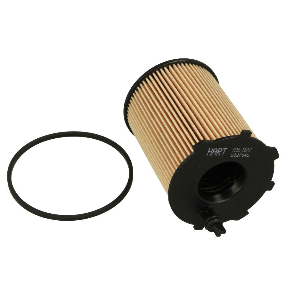 Filtro Olio Tagliando Auto per MINI MINI CLUBMAN (R55) Cooper D 1.6 - MINI MINI (R56) Cooper D 1.6 - MINI MINI (R56) One D