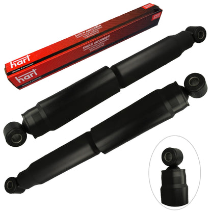 Kit 2 Ammortizzatori a Gas Posteriori per CITROËN JUMPER III Platform/Chassis