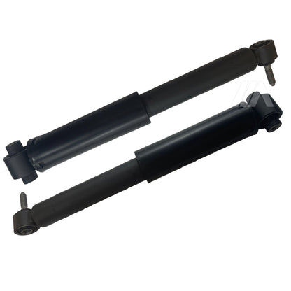 Kit 2 Ammortizzatori a Gas Posteriori per RENAULT MEGANE III (KZ0/1) 1.6 Bi-Fuel