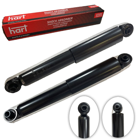 Kit 2 Ammortizzatori Gas Posteriori per LANCIA YPSILON (312_) 0.9 / 1.2 / 1.3 D Multijet