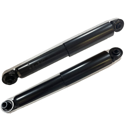 Kit 2 Ammortizzatori Gas Posteriori per LANCIA YPSILON (312_) 0.9 / 1.2 / 1.3 D Multijet